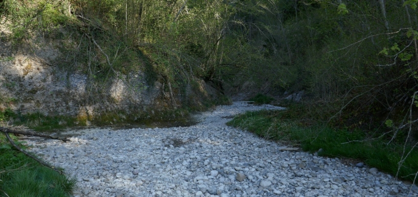 Ausgetrockneter Bachlauf mit sichtbarem Kiesbett