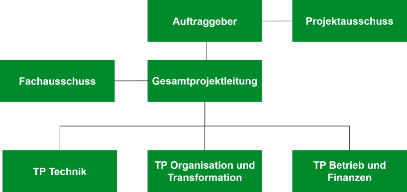 Projektorganisation