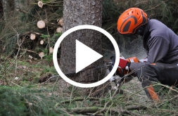 Berufsfilm Forstwart/in EFZ