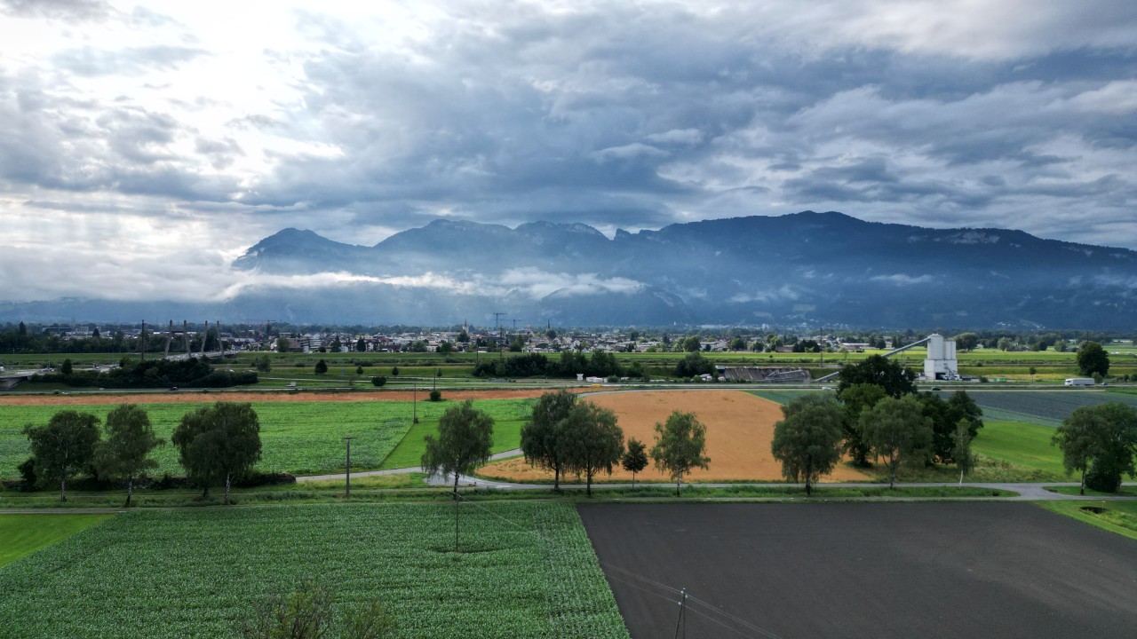 DJI_0731.JPG