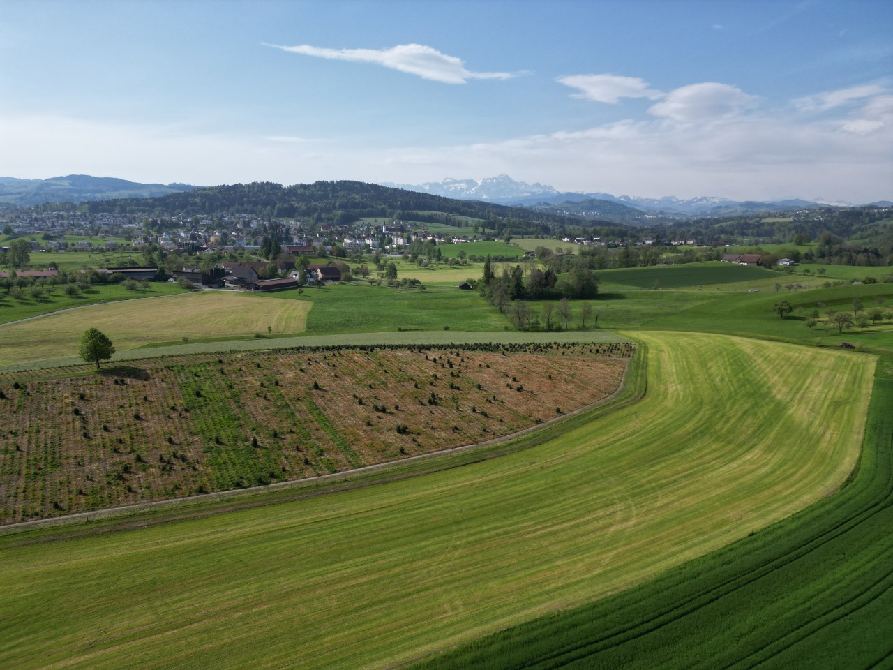 DJI_0981.JPG