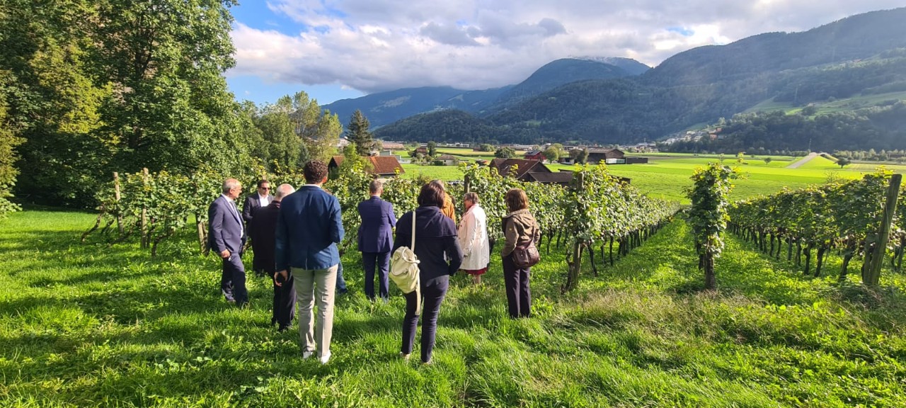 22_Besuch Müller Weinbau