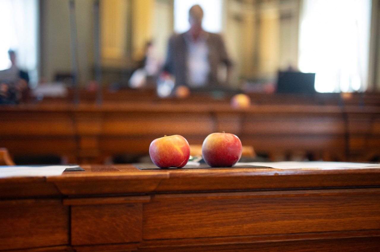 Apfel «Ladina» – ein Geschenk des Ratspräsidenten an die Mitglieder des Rates und der Regierung