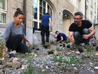 Biodiversität im Siedlungsraum