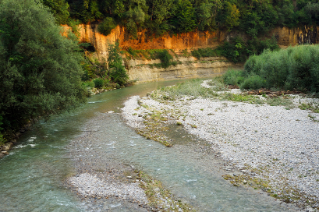 Prallhang am Ufer des Neckers im letzten Abendlicht