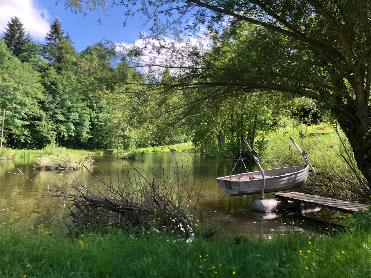 2 St.Gallen_Elanee Roth.jpeg
