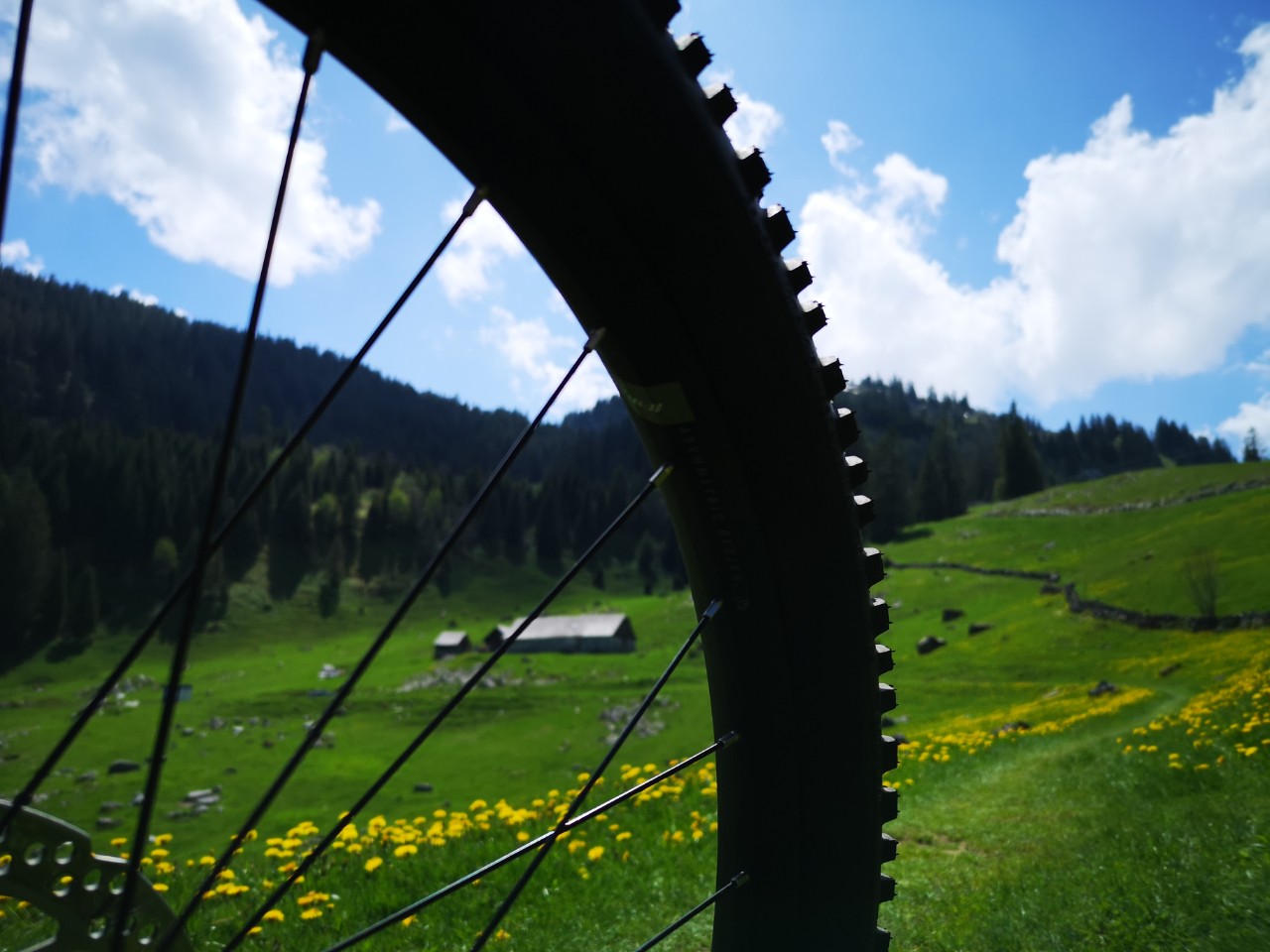 Ölberg Wildhaus_Karin Lenherr.jpg