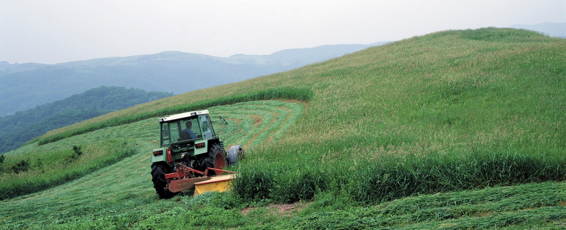 Landwirtschaft