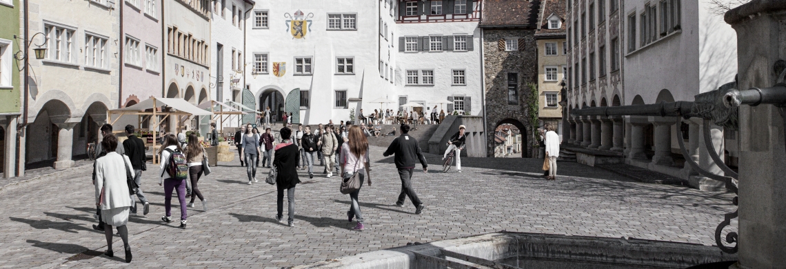 Visualisierung Hof zu Wil