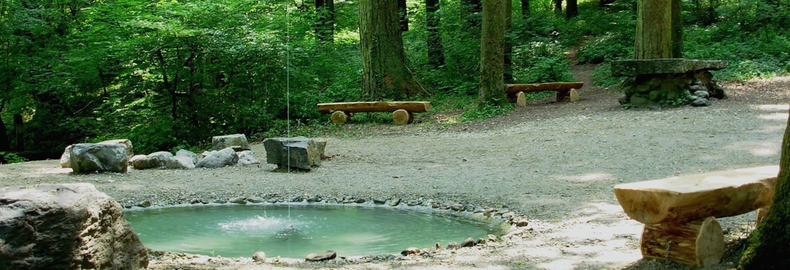 Springbrunnen im Wald