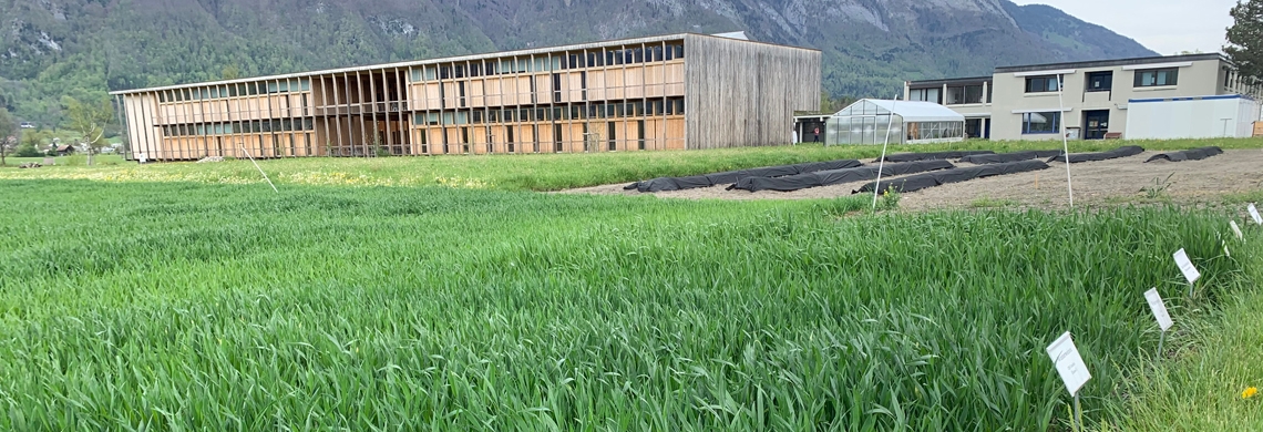 Landwirtschaftliches Zentrum in Salez Aussenansicht