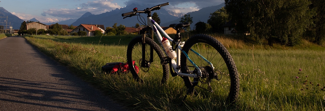 Symbolbild Attraktive Mountainbike-Routen für Mensch und Natur Mountainbike-Strategie