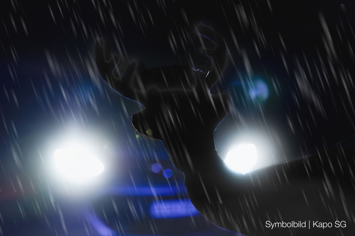 Symbolbild Wildtierunf&auml;lle