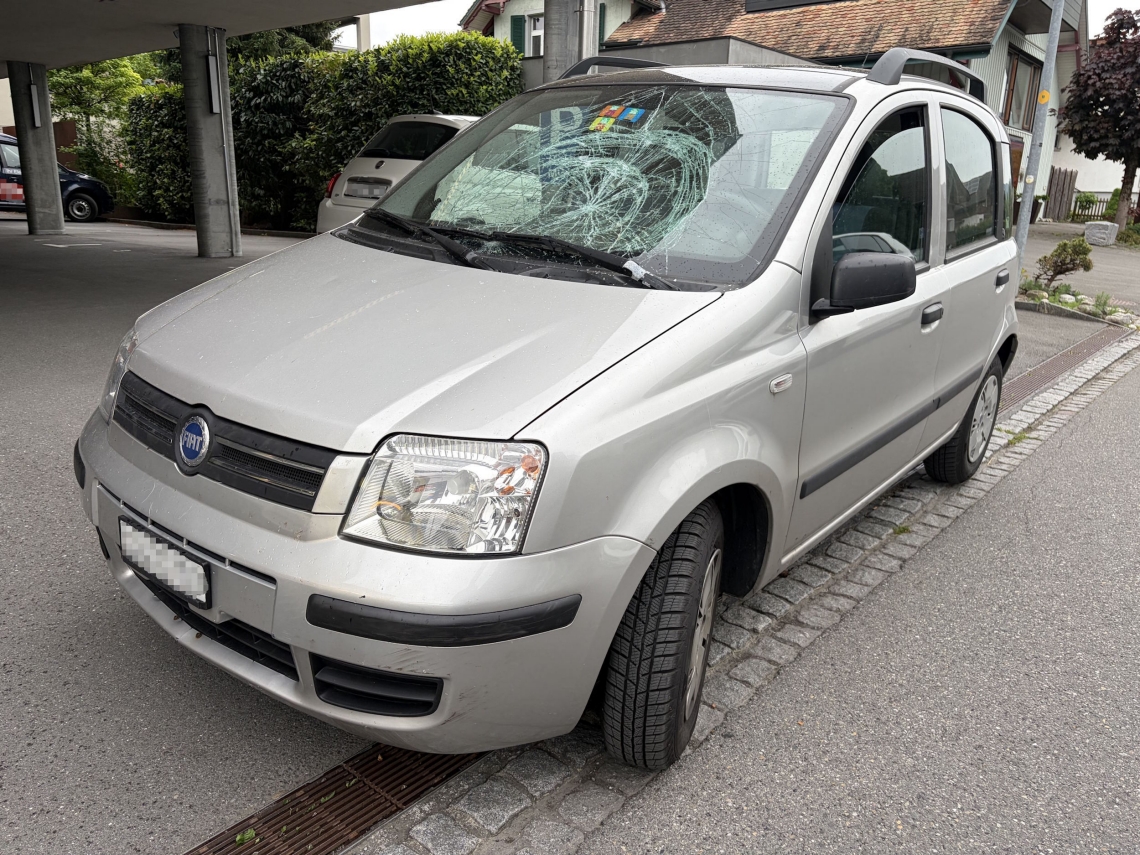 Widnau