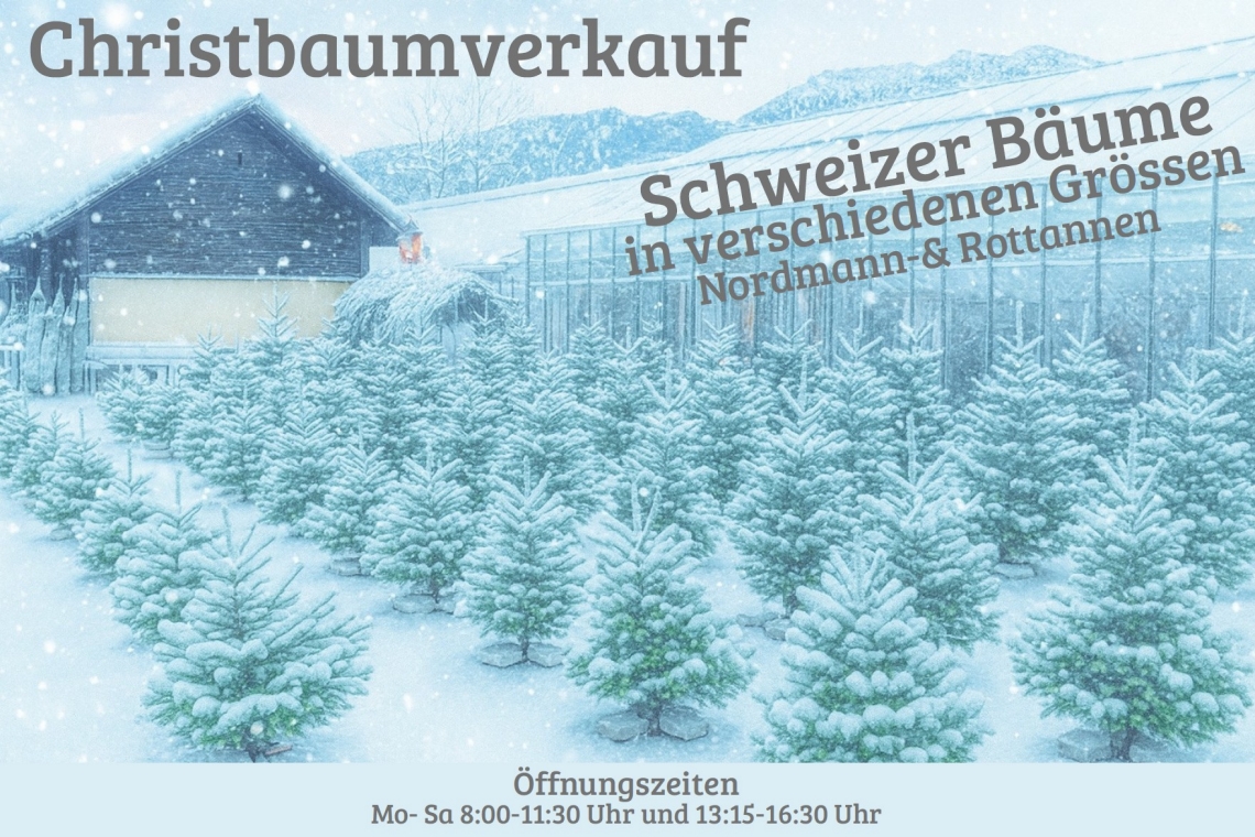 Advents- und Weihnachtsverkauf 2025