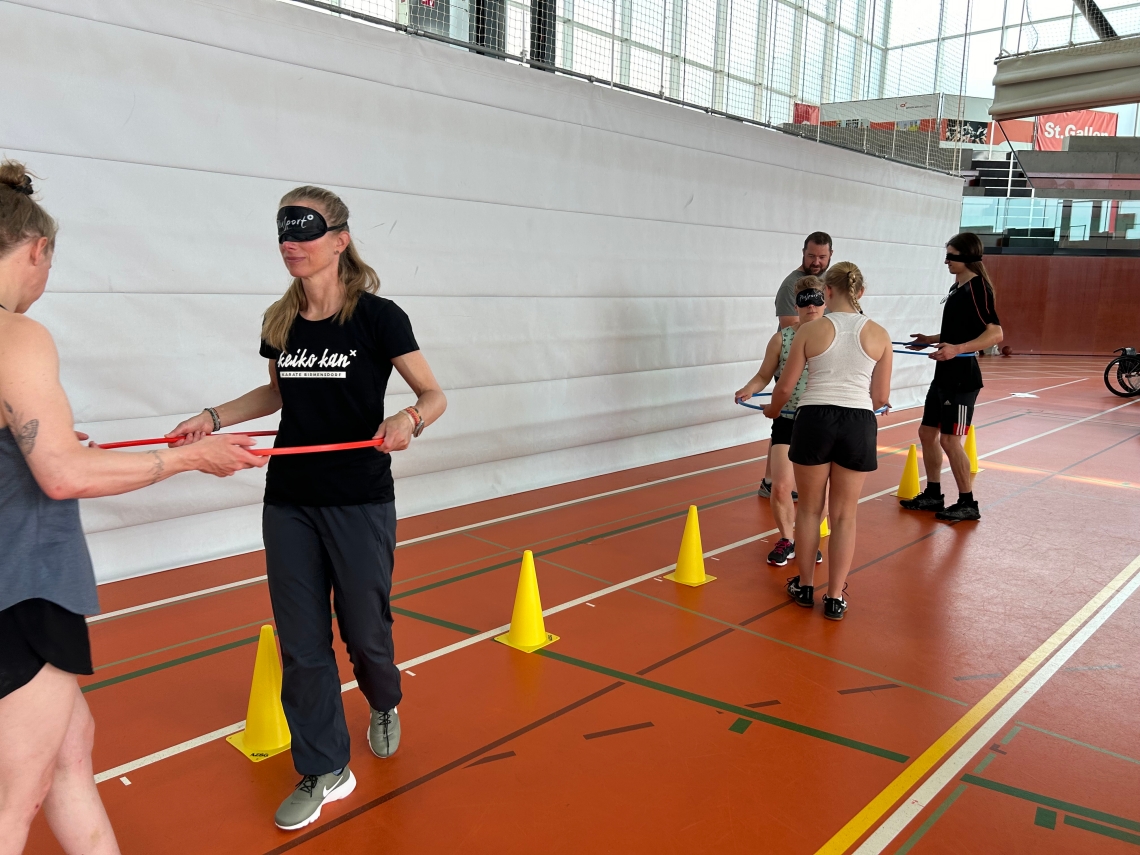 Modul Handicap
