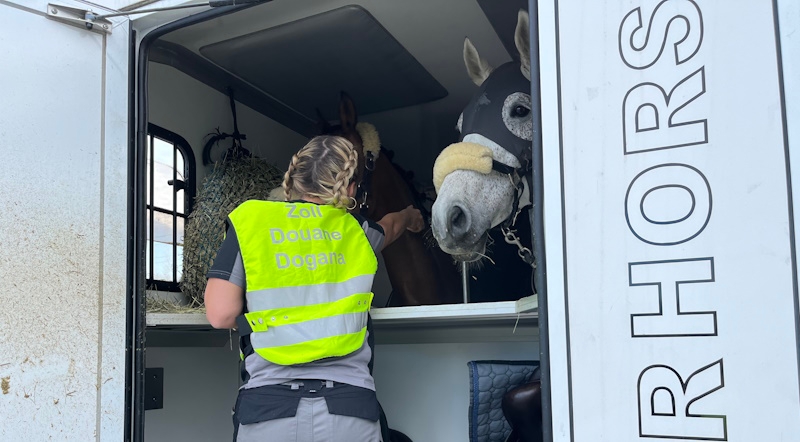 Mitarbeiterin im Pferdetransporter