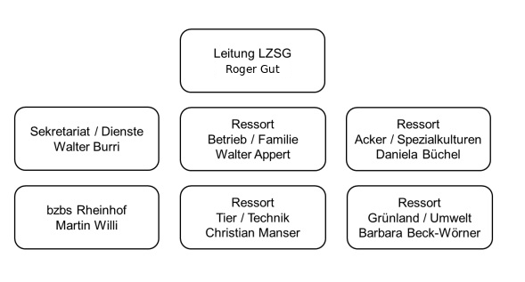 Organisation (Geschäftsleitung)