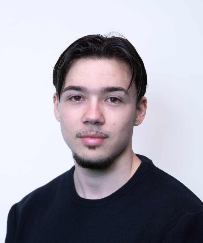 Informatiker Plattformentwicklung