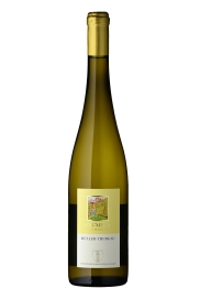 Müller-Thurgau Frümsen