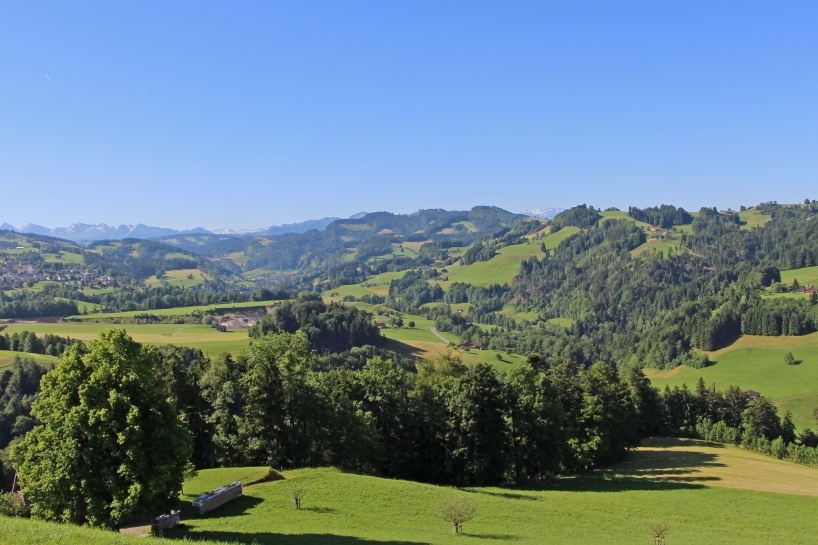 Landschaft im unteren Toggenburg