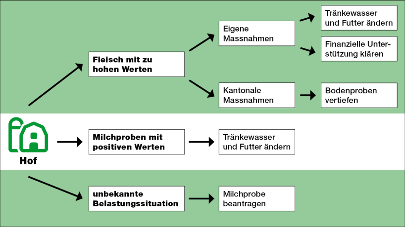 Grafik mit Handlungsmöglichkeiten für Bauernbetriebe