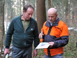 Waldbewirtschaftung mit Unterstützung des St.Galler Forstdienstes