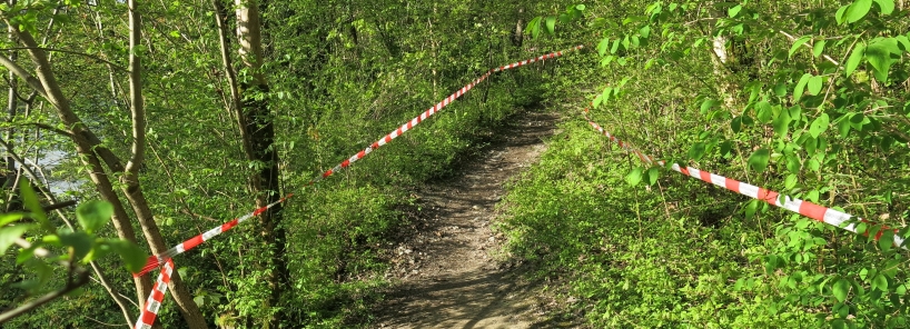 Geländeläufe oder Bikerennen im Wald können melde- oder bewilligungspflichtig sein.