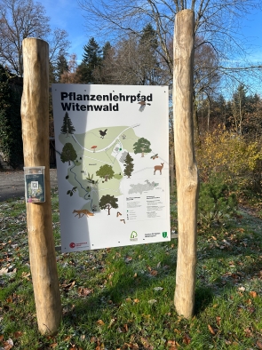 Infotafel f&uuml;r den Pflanzenlehrpfad Witen