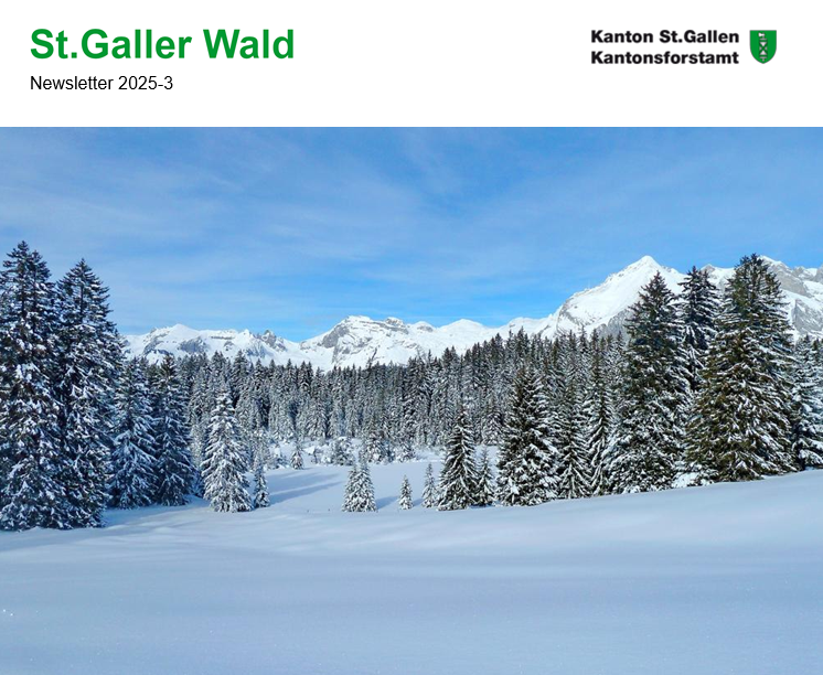 St.Galler Wald 2025-3