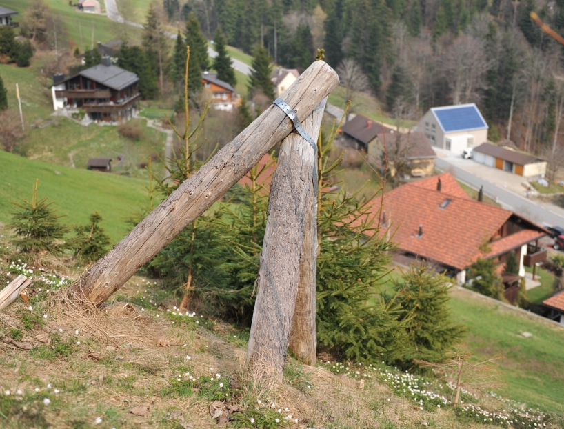 Dreibeinbock als Schutz