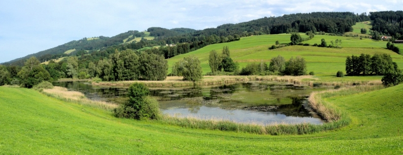 Kleinseen und Weiher werden hinsichtlich ihrer Wasserqualität vom Amt für Wasser und Energie untersucht. 