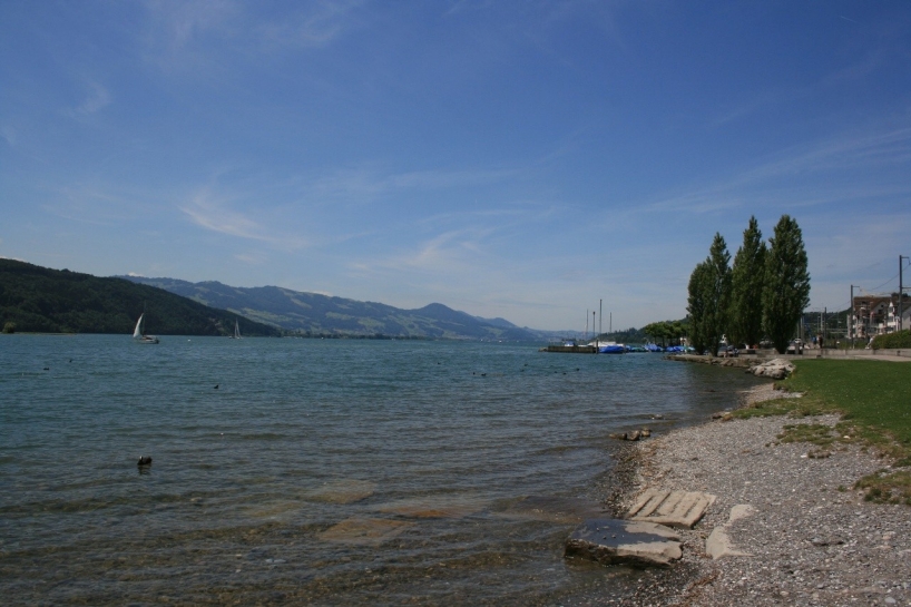 Der Zürich-Obersee hat eine gute Gewässerqualität.